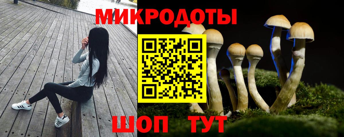 Псилоцибиновые грибы MAGIC MUSHROOMS Черкесск